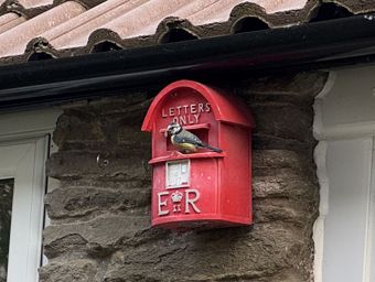 Nest Box 2026